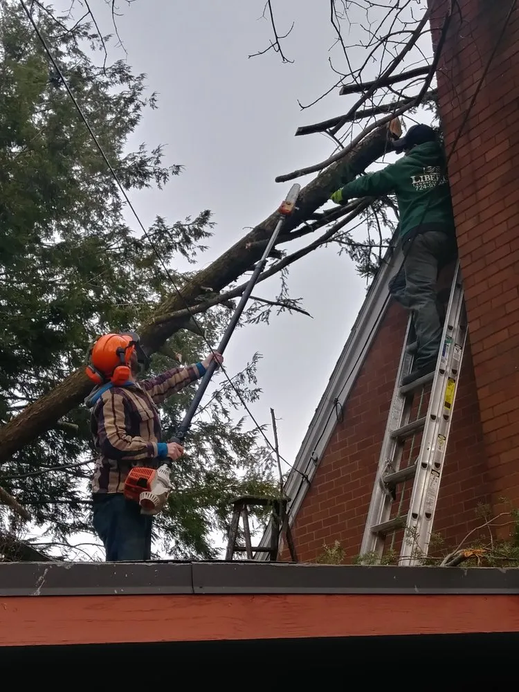 Trusted lawn care service in Smithfield, PA by Liberty Landscaping