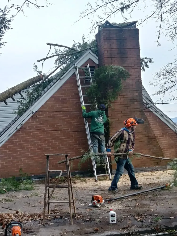 Professional yard maintenance in Smithfield, PA - Liberty Landscaping