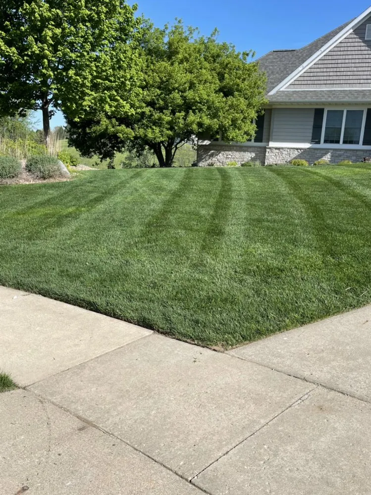 Affordable yard cleanup service experts serving North Liberty, IA - Liberty Lawn & Home Care