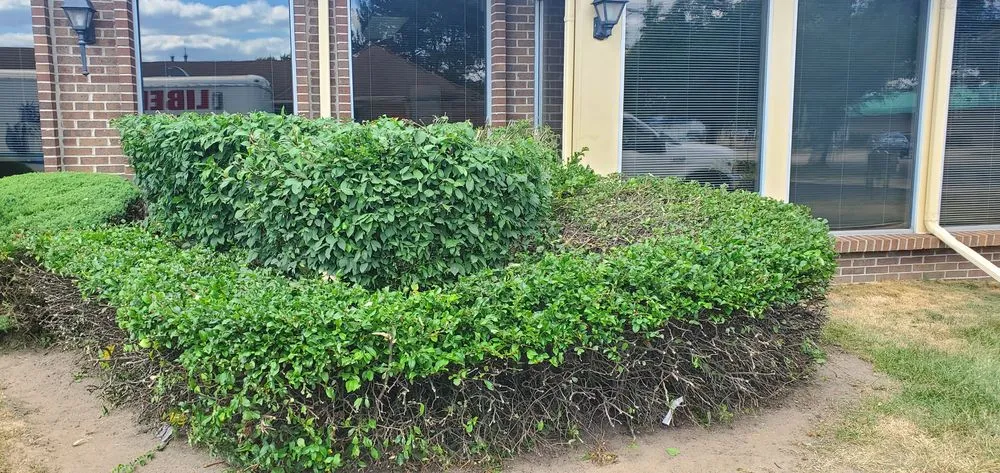 Expert lawn care service in Warren, MI - Liberty Lawn and Snow Services