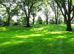 Trusted landscape installation experts serving Warren, MI - Liberty Lawn and Snow Services