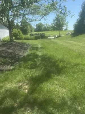 Liberty Lawn and Stump Removal Logo