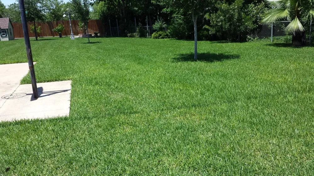 Top-rated yard maintenance experts serving Cedar Park, TX - Liberty Lawn Care