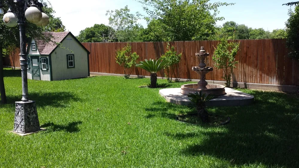 Expert lawn mowing service in Cedar Park, TX by Liberty Lawn Care