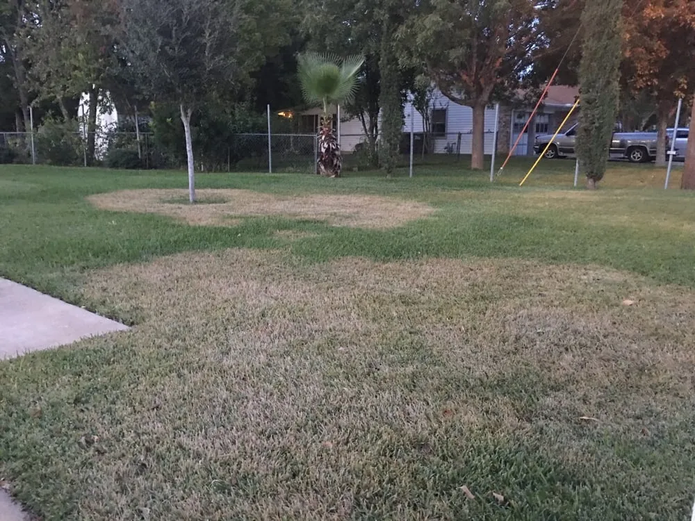 Top-rated landscape design with custom design in Cedar Park, TX by Liberty Lawn Care