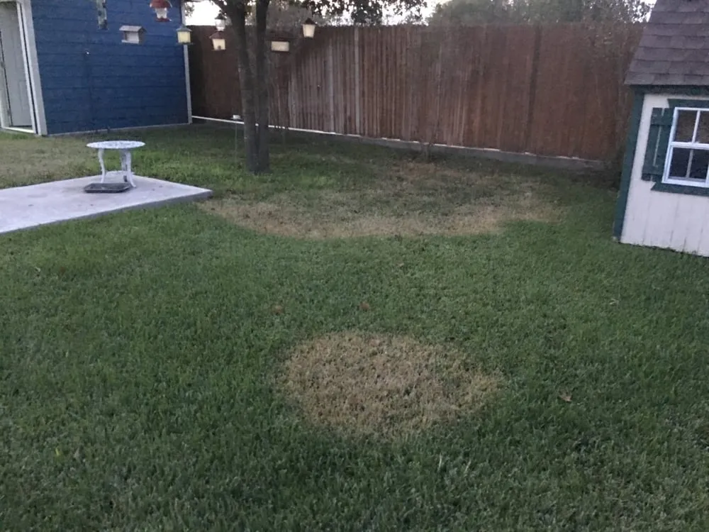 Trusted lawn care service in Cedar Park, TX - Liberty Lawn Care