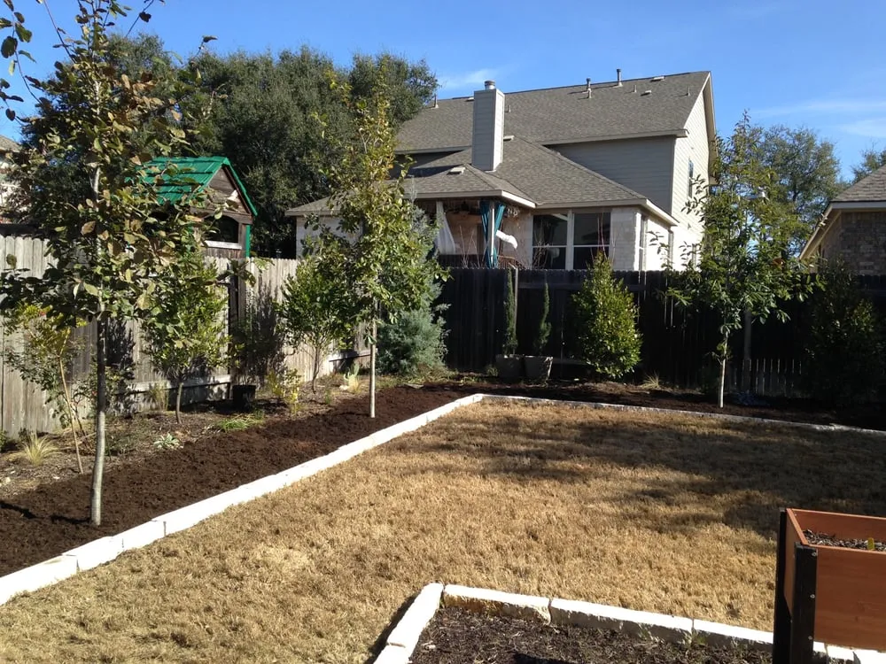 Professional yard cleanup service near you in Cedar Park, TX by Liberty Lawn Care