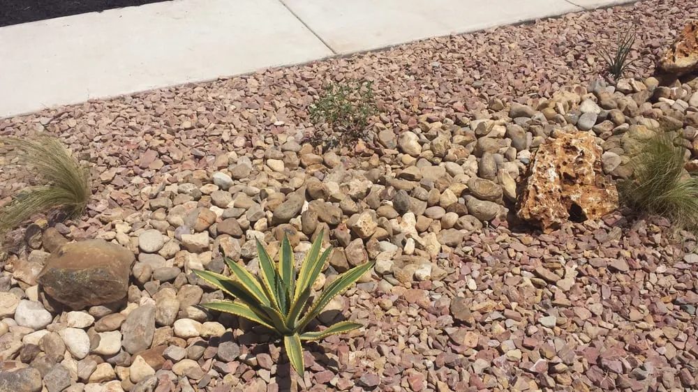 Reliable lawn care service experts serving Cedar Park, TX - Liberty Lawn Care