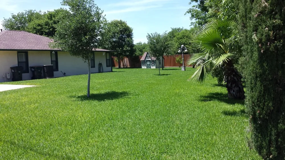 Local landscape installation in Cedar Park, TX by Liberty Lawn Care