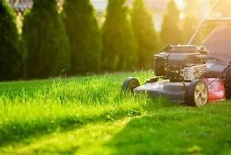 Local landscape installation in Clearwater, FL - Liberty Lawn Care