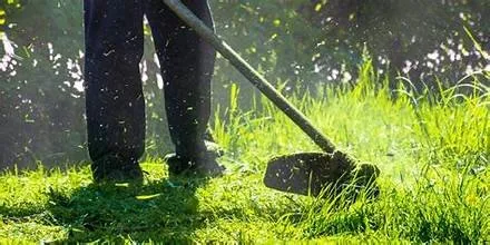 Local landscaping services for residential properties across Clearwater, FL - Liberty Lawn Care