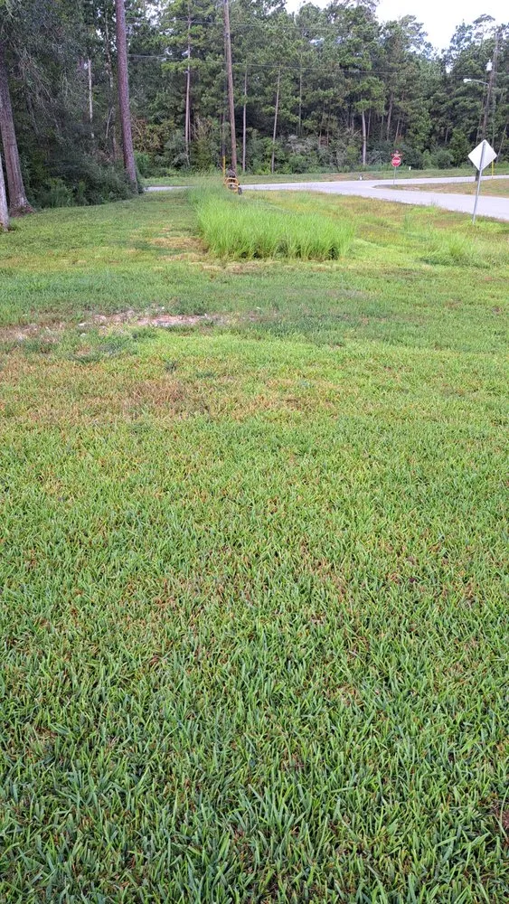 Affordable outdoor landscaping for homes in Cleveland, TX by liberty lawn care