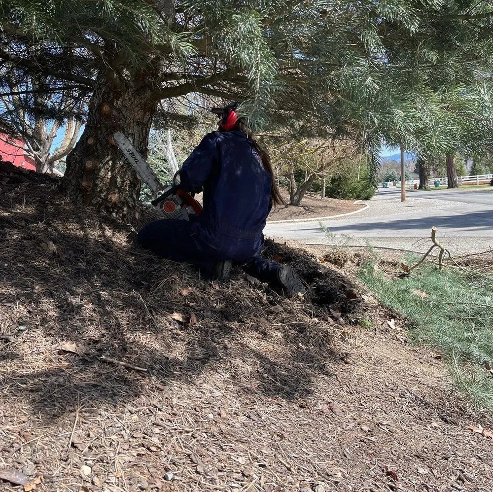 Expert lawn mowing service in Coeur d'Alene, ID by Liberty Lawn