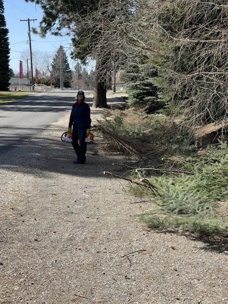 Expert yard cleanup service experts serving Coeur d'Alene, ID - Liberty Lawn