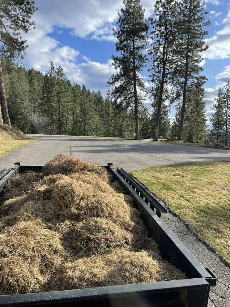 Expert lawn mowing service in Coeur d'Alene, ID by Liberty Lawn