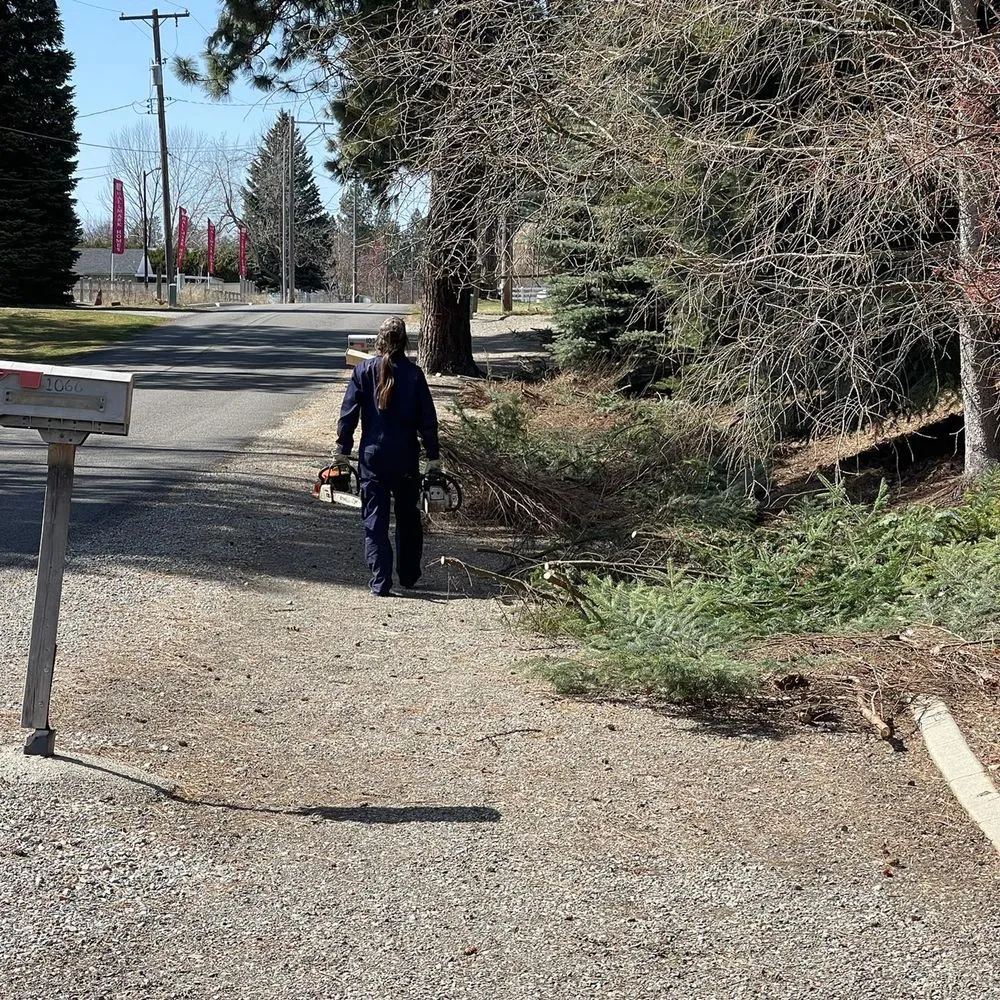 Expert lawn mowing service for residential properties across Coeur d'Alene, ID - Liberty Lawn