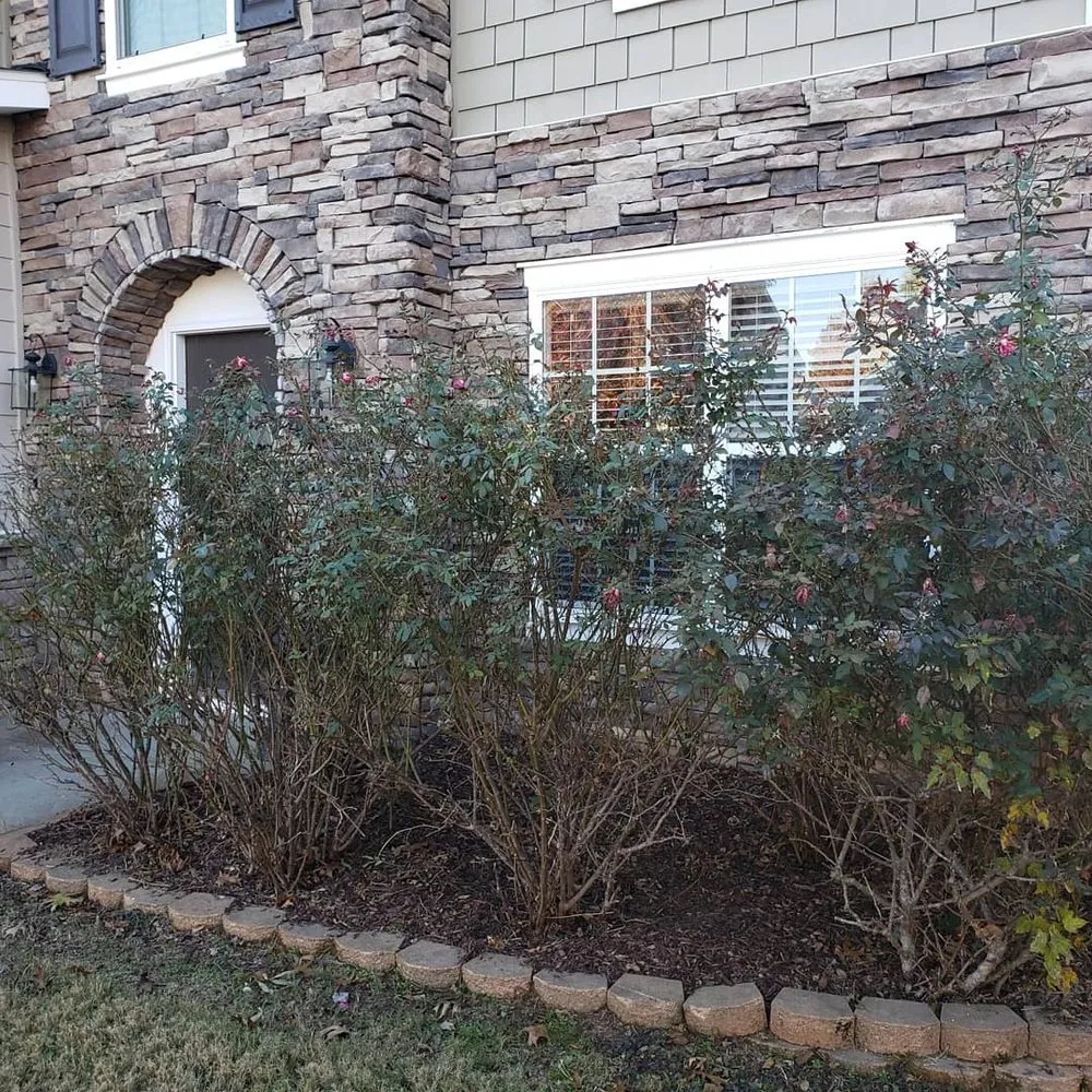 Reliable yard cleanup service in Peachtree City, GA - Liberty Lawn Pros