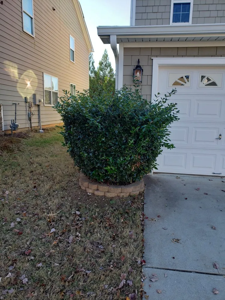 Affordable lawn care service experts serving Peachtree City, GA - Liberty Lawn Pros