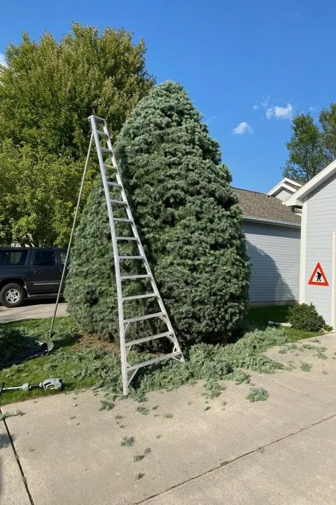 Professional outdoor landscaping in Bonner-West Riverside, MT - Liberty Lawn Service
