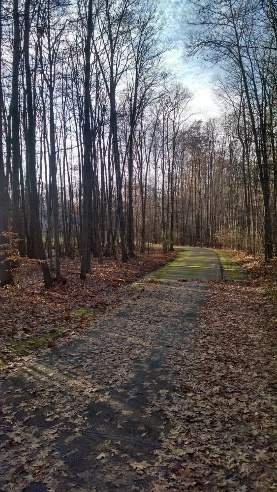 Expert lawn care service for homes across Reed City, MI - Liberty Lawncare & Landscaping