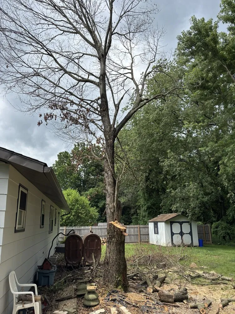 Affordable landscaping services in Uniontown, PA by Liberty Lawns