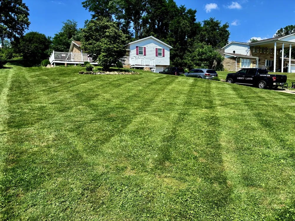 Professional yard cleanup service in Uniontown, PA by Liberty Lawns