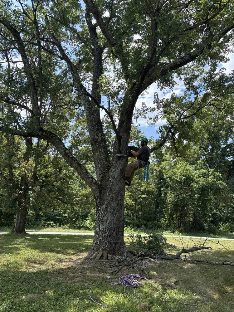 Custom yard maintenance in Uniontown, PA by Liberty Lawns