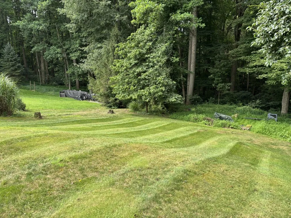 Professional outdoor landscaping for year-round maintenance in Uniontown, PA by Liberty Lawns