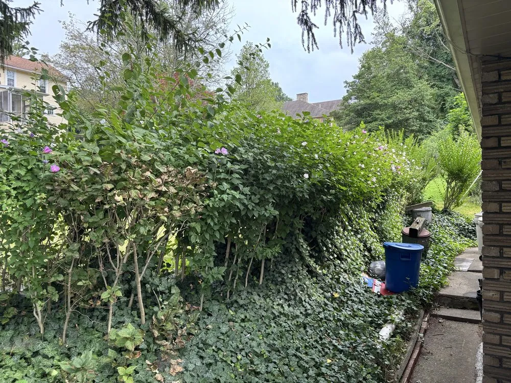 Top-rated lawn mowing service experts serving Uniontown, PA - Liberty Lawns