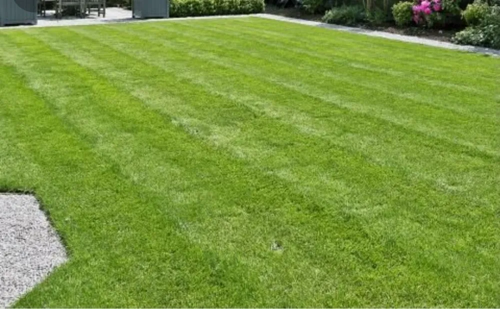 Top-rated landscape installation for residential properties in Brooklet, GA by Liberty Outdoors Lawn Care