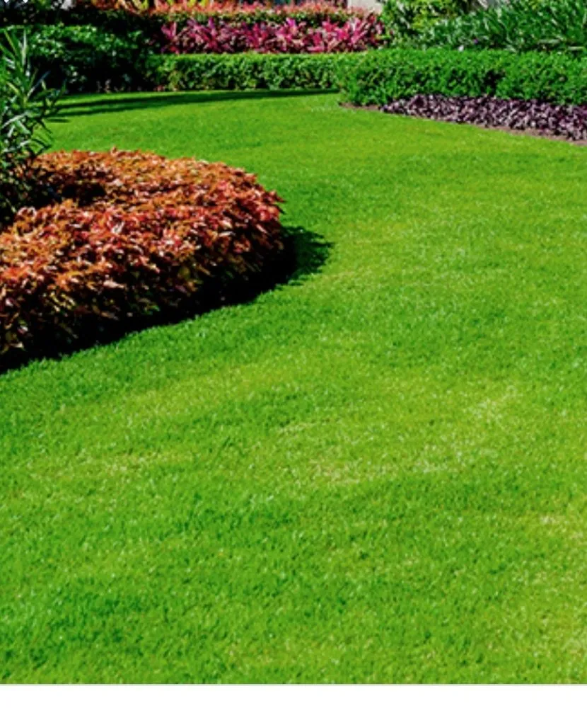 Local lawn care service with custom design in Brooklet, GA by Liberty Outdoors Lawn Care