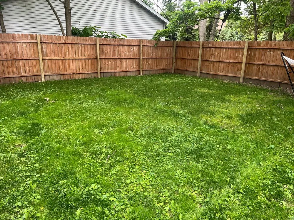 Trusted yard cleanup service in Indianapolis, IN by Liberty Service