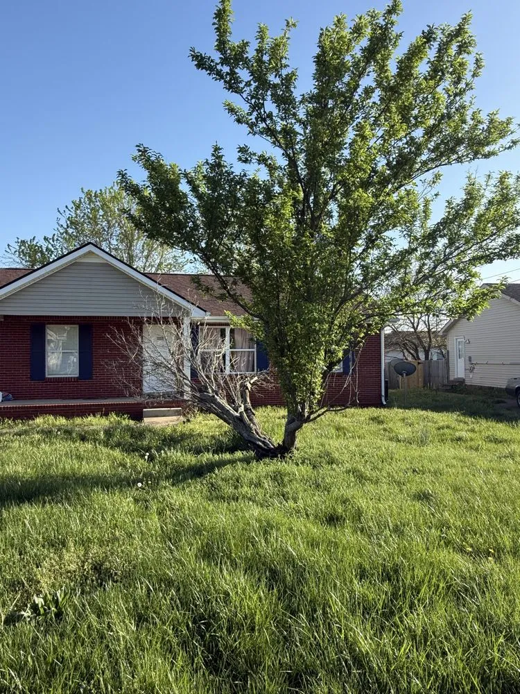 Affordable lawn mowing service in Clarksville, TN - Liberty Site Solutions