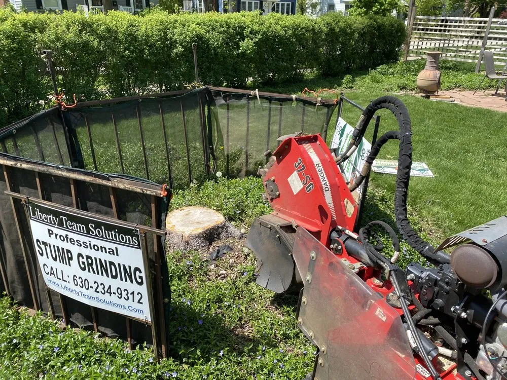 Top-rated landscape design in Elburn, IL by Liberty Team Solutions