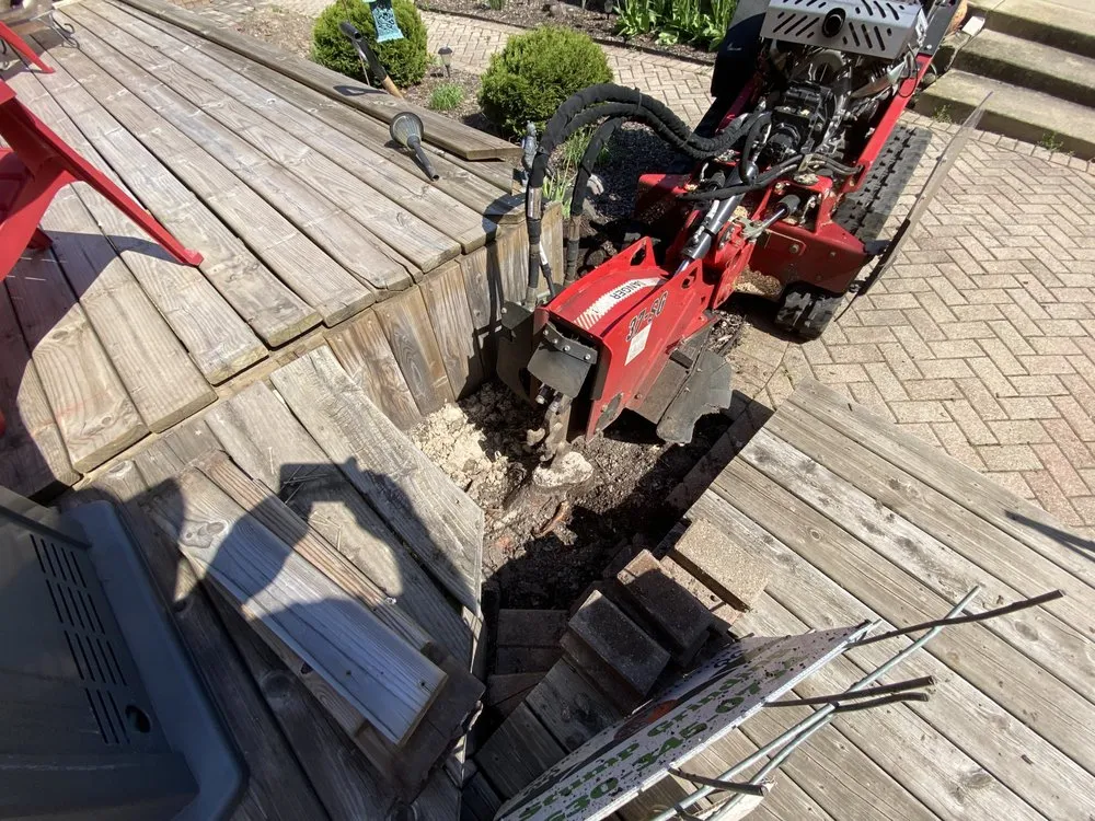 Affordable landscaping services in Elburn, IL by Liberty Team Solutions