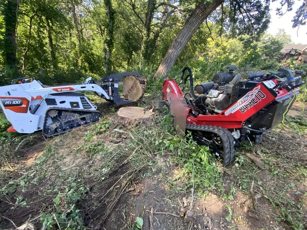 Professional yard cleanup service in Elburn, IL by Liberty Team Solutions