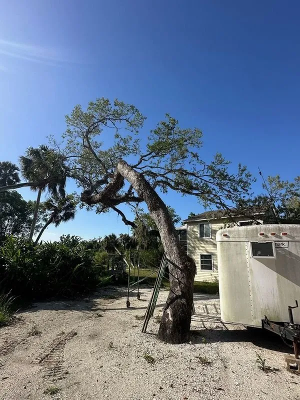 Local yard maintenance for outdoor upgrades in Venice, FL by Liberty Tree & Land Services