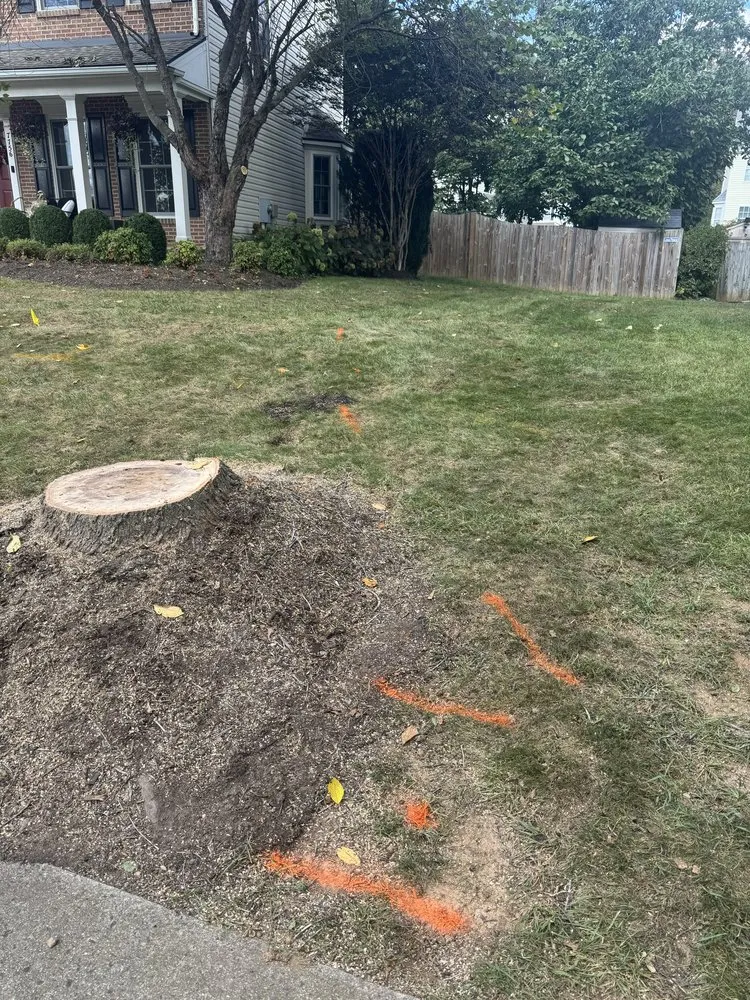 Custom garden landscaping for homes across Manassas, VA - Liberty Tree And Landscape