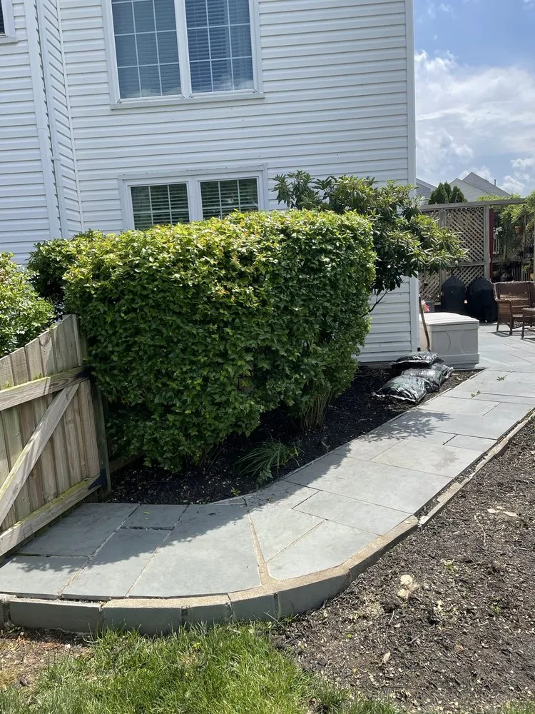 Local lawn care service experts serving Manassas, VA - Liberty Tree And Landscape