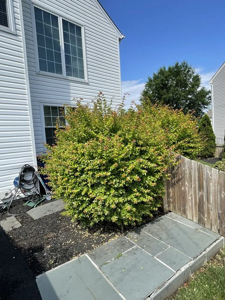 Expert landscaping services experts serving Manassas, VA - Liberty Tree And Landscape