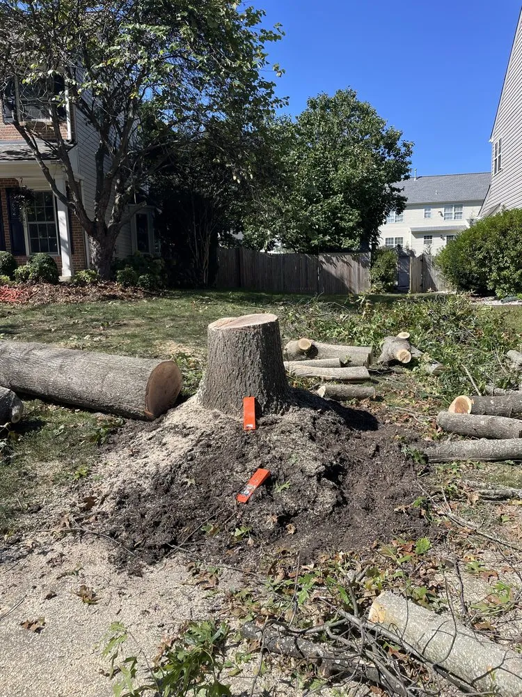 Top-rated residential landscaping with custom design in Manassas, VA by Liberty Tree And Landscape