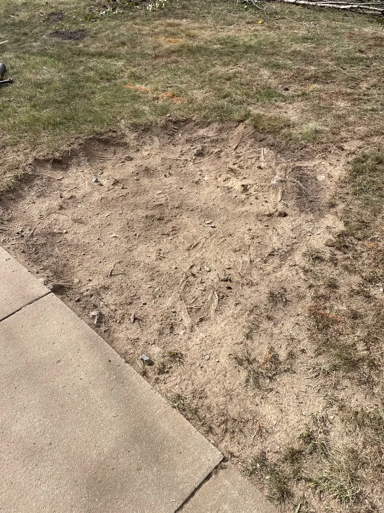 Expert yard maintenance experts serving Manassas, VA - Liberty Tree And Landscape