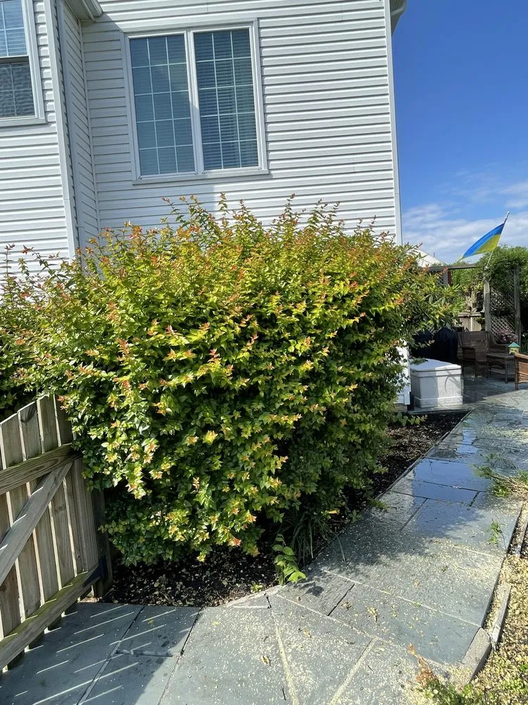 Trusted landscaping services experts serving Manassas, VA - Liberty Tree And Landscape