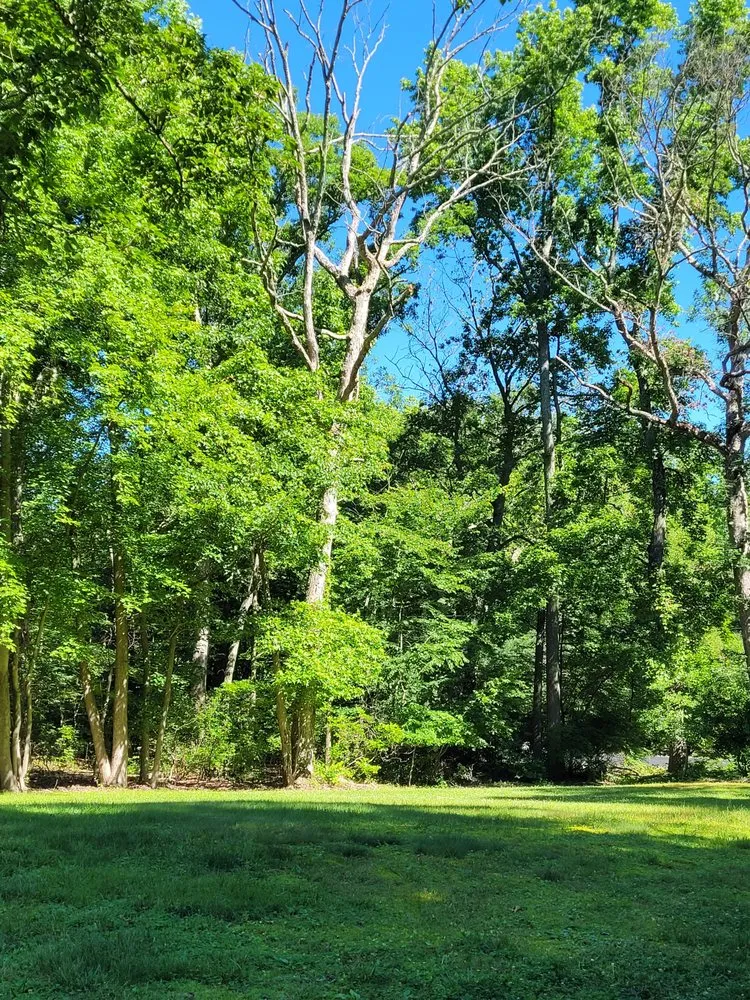 Trusted landscape design for homes in Brooklyn Park, MD by Liberty Tree And Landscaping Services