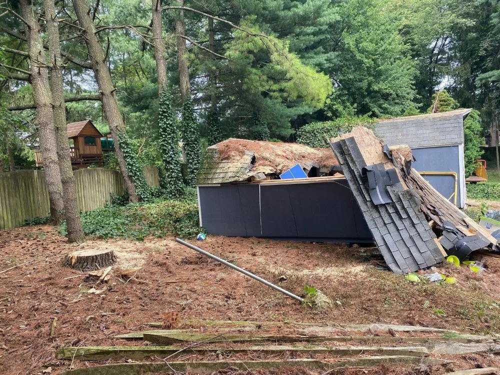 Professional yard cleanup service in Brooklyn Park, MD - Liberty Tree And Landscaping Services