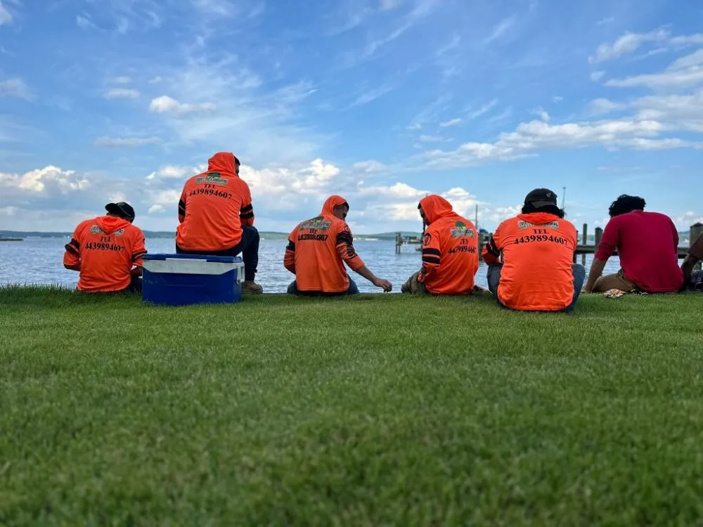 Custom residential landscaping in Brooklyn Park, MD by Liberty Tree And Landscaping Services