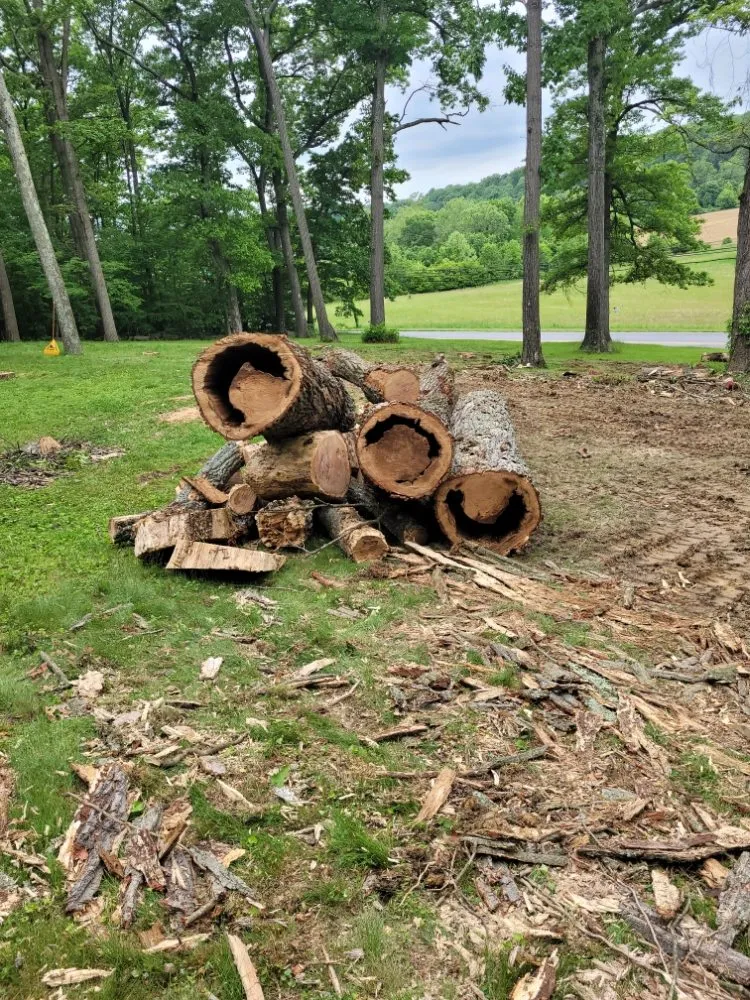 Affordable yard maintenance in Brooklyn Park, MD - Liberty Tree And Landscaping Services