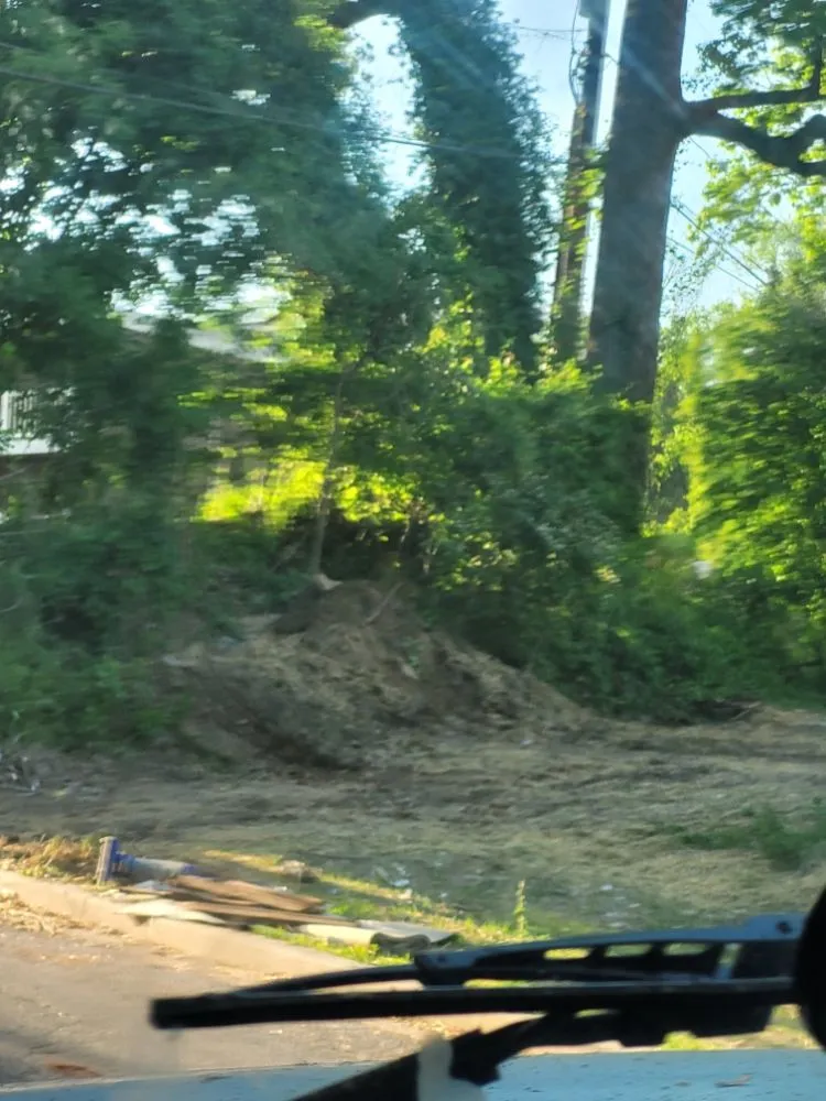 Top-rated landscape installation for homes across Brooklyn Park, MD - Liberty Tree And Landscaping Services