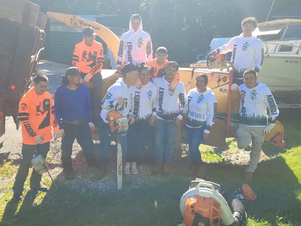 Affordable landscape design experts serving Brooklyn Park, MD - Liberty Tree And Landscaping Services