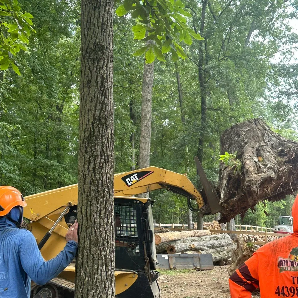 Professional landscape design in Brooklyn Park, MD by Liberty Tree And Landscaping Services